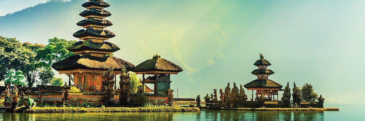 Most Popular Suppliers - background banner