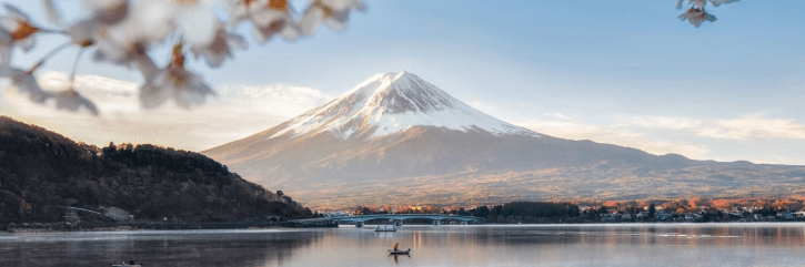 A Journey of a Lifetime: Unearthing Majestic Japan